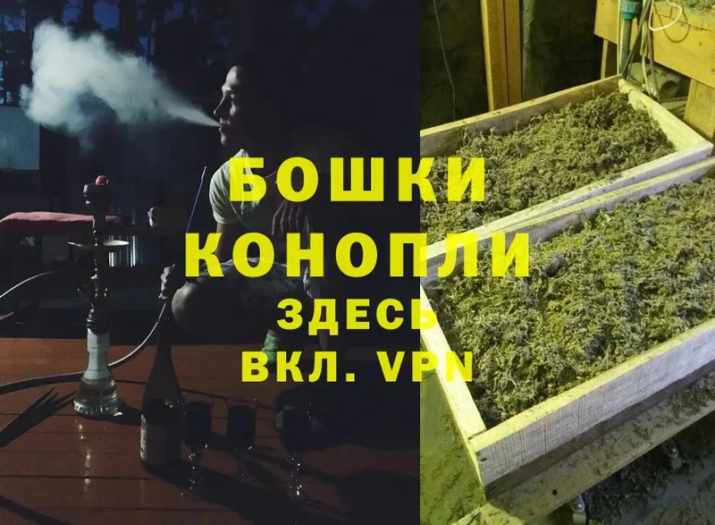 Бошки марихуана SATIVA & INDICA  kraken tor  Исилькуль 